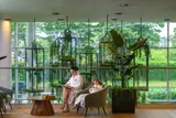 Angajare receptioner SPA in Timisoara