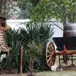 Tipuri de căsuțe ușor de integrat în curte sau grădină pentru păsări și animale mici: ce să alegi pentru spațiul tău verde