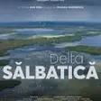 Delta Sălbatică