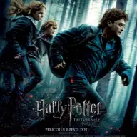 Harry Potter and the Deathly Hallows: Part 1 (Harry Potter si Talismanele Mortii Partea 1)