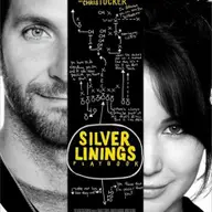 Silver Linings Playbook