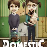 Domestic