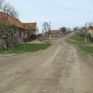 Bruznic