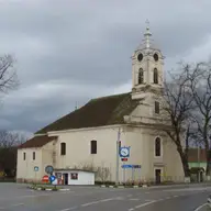 Buteni