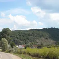 Caprioara