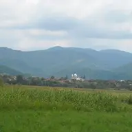 Gurahont