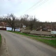 Iacobini