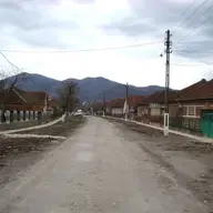 Plescuta