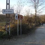 Poiana