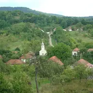 Tarnavita