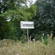 Temesesti