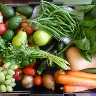 5 reguli de aur, in vederea unei nutritii optime!