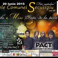 Concert Slystyle