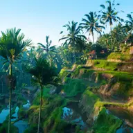 Oferta turistica in Bali