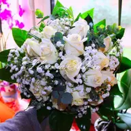 Floraria Adi