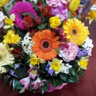 Floraria Camely