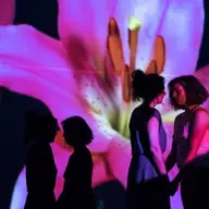 La final, cum poţi să descrii un Festival?