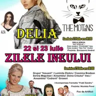 Zilele Ineului