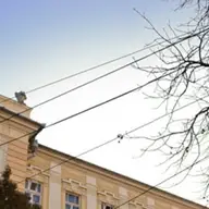 Colegiul National Preparandia Dimitrie Țichindeal