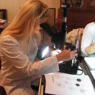 Cum se expertizeaza pietrele pretioase