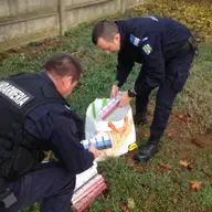 Fapte de încălcare a Codului Vamal