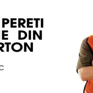 Curs montator pereti din ghips-carton in Arad
