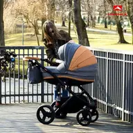 Tu stii cum sa cumperi carucioare sport ieftine si perfomante?