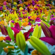 FlorAr