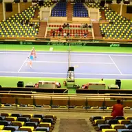 Sala Polivalenta Arad