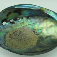 Abalone - Regina gemelor organice