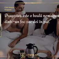 Esti in cautarea unor citate de dragoste interesante? Descopera-le acum!