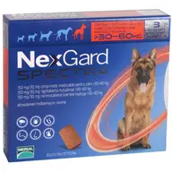 Afla care este importanta deparazitarii animalului tau de companie