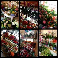 Floris T&D