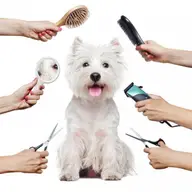 Salon Canin Mindy's
