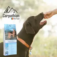 Cauți mâncare pentru câini la un preț avantajos?