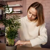 Apă filtrată pentru plante