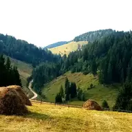 Cum să creezi tradiții noi prin cadouri experiență