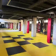 Tatami puzzle, investitie inteligenta pentru orice sala de sport
