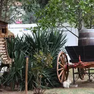 Tipuri de căsuțe ușor de integrat în curte sau grădină pentru păsări și animale mici: ce să alegi pentru spațiul tău verde