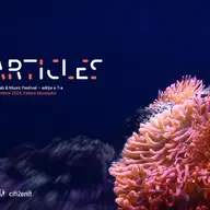 Particles Festival
