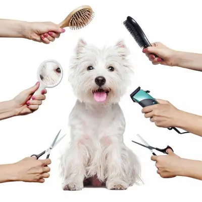 Salon Canin Mindy's