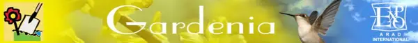 Gardenia