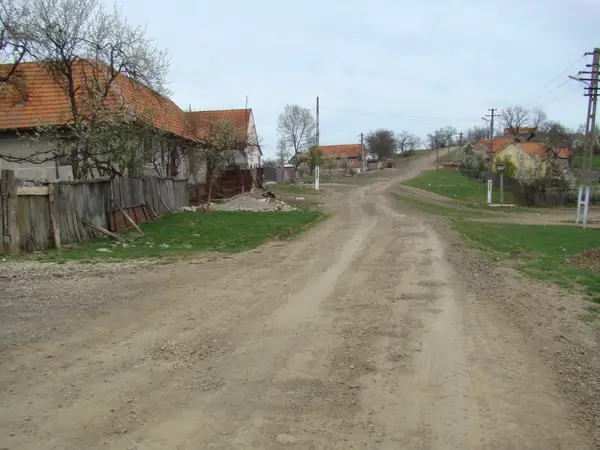 Bruznic