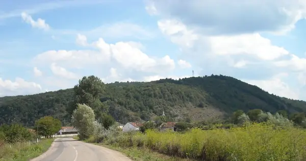 Caprioara