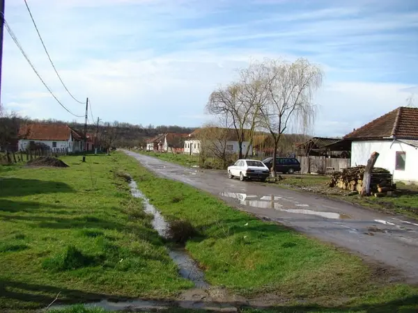 Donceni