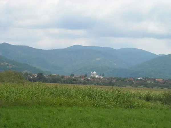 Gurahont