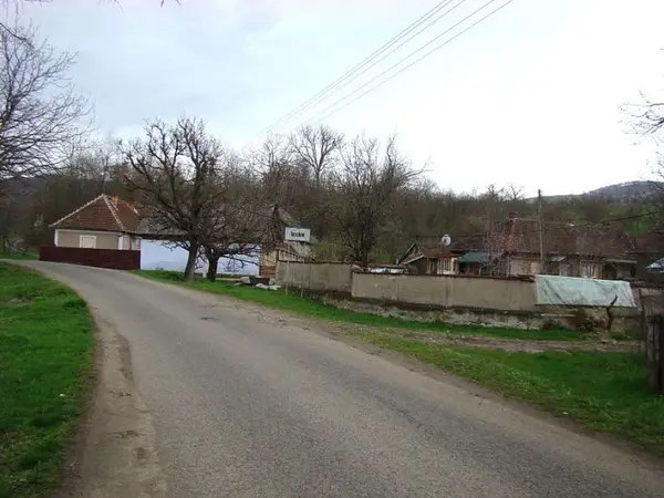 Iacobini