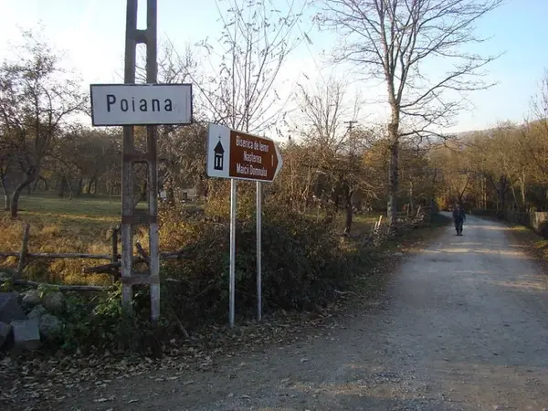 Poiana