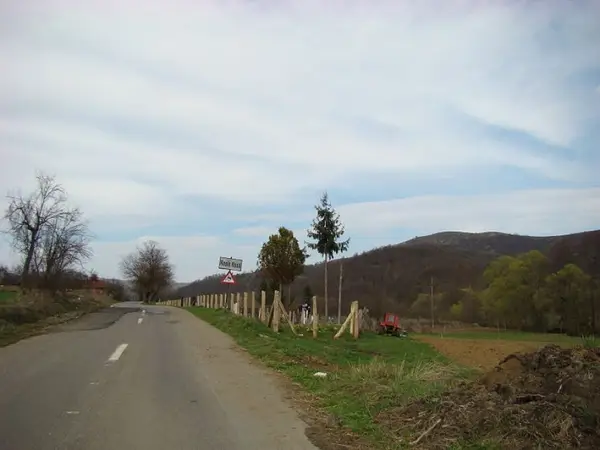 Rosia Noua