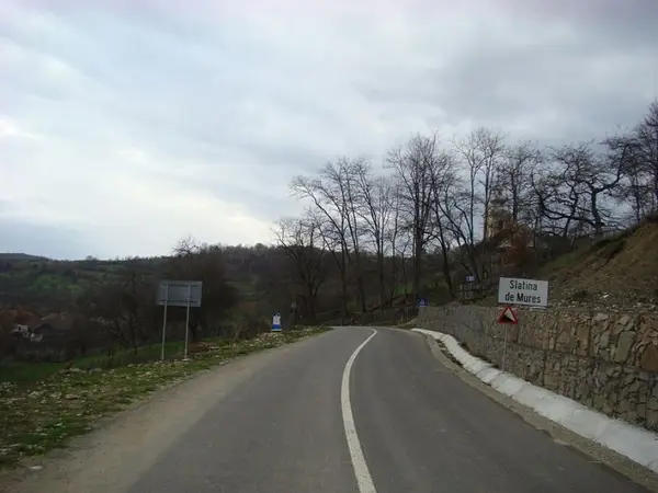 Slatina de Mures